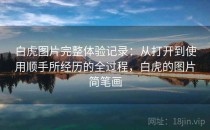 白虎图片完整体验记录：从打开到使用顺手所经历的全过程，白虎的图片简笔画