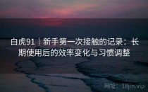 白虎91｜新手第一次接触的记录：长期使用后的效率变化与习惯调整