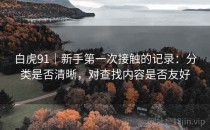 白虎91｜新手第一次接触的记录：分类是否清晰，对查找内容是否友好