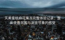 天美蜜桃麻花果冻完整体验记录：整体使用氛围与浏览节奏的感受