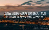 围绕白虎图片的实际使用感想：新用户最容易遇到的问题与应对方式