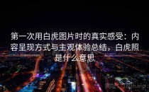 第一次用白虎图片时的真实感受：内容呈现方式与主观体验总结，白虎照是什么意思