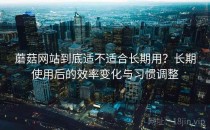 蘑菇网站到底适不适合长期用？长期使用后的效率变化与习惯调整
