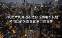 白虎图片到底适不适合长期用？长期使用后的效率变化与习惯调整