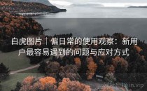 白虎图片｜偏日常的使用观察：新用户最容易遇到的问题与应对方式