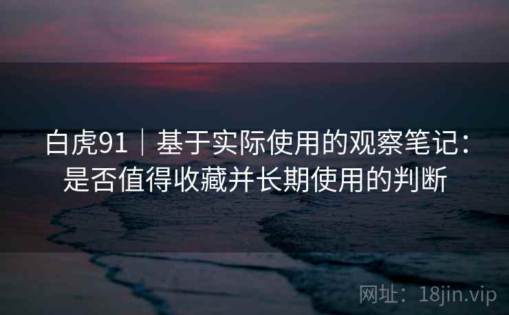 白虎91|基于实际使用的观察笔记:是否值得收藏并长期使用的判断 第1张 白虎91|基于实际使用的观察笔记:是否值得收藏并长期使用的判断 第1张