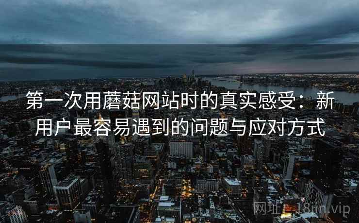 第一次用蘑菇网站时的真实感受:新用户最容易遇到的问题与应对方式 第1张 第一次用蘑菇网站时的真实感受:新用户最容易遇到的问题与应对方式 第1张