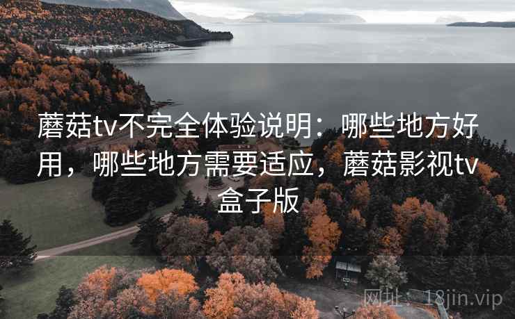 蘑菇tv不完全体验说明:哪些地方好用,哪些地方需要适应,蘑菇影视tv盒子版 第1张 蘑菇tv不完全体验说明:哪些地方好用,哪些地方需要适应,蘑菇影视tv盒子版 第1张
