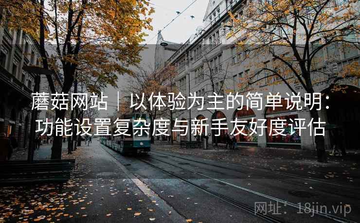 蘑菇网站|以体验为主的简单说明:功能设置复杂度与新手友好度评估 第1张 蘑菇网站|以体验为主的简单说明:功能设置复杂度与新手友好度评估 第1张