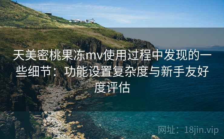 天美密桃果冻mv使用过程中发现的一些细节：功能设置复杂度与新手友好度评估  第2张