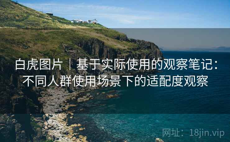 白虎图片|基于实际使用的观察笔记:不同人群使用场景下的适配度观察 第1张 白虎图片|基于实际使用的观察笔记:不同人群使用场景下的适配度观察 第1张