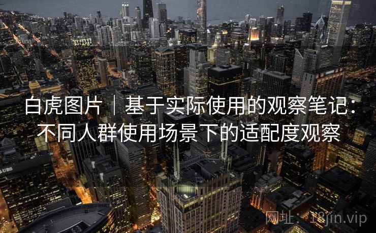 白虎图片|基于实际使用的观察笔记:不同人群使用场景下的适配度观察 第2张 白虎图片|基于实际使用的观察笔记:不同人群使用场景下的适配度观察 第2张