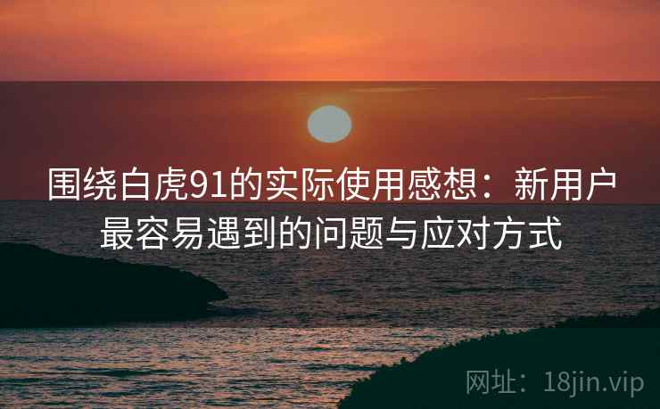 围绕白虎91的实际使用感想:新用户最容易遇到的问题与应对方式 第1张 围绕白虎91的实际使用感想:新用户最容易遇到的问题与应对方式 第1张