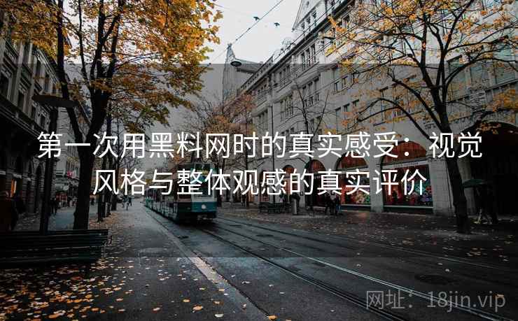 第一次用黑料网时的真实感受：视觉风格与整体观感的真实评价  第1张