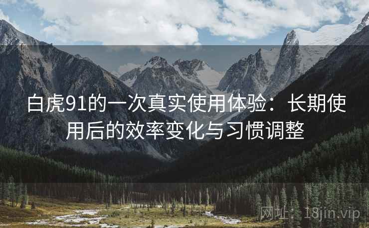 白虎91的一次真实使用体验：长期使用后的效率变化与习惯调整  第2张
