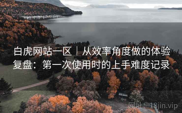 白虎网站一区｜从效率角度做的体验复盘：第一次使用时的上手难度记录  第2张