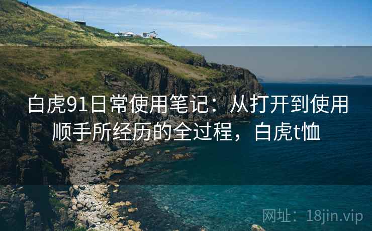 白虎91日常使用笔记：从打开到使用顺手所经历的全过程，白虎t恤  第2张