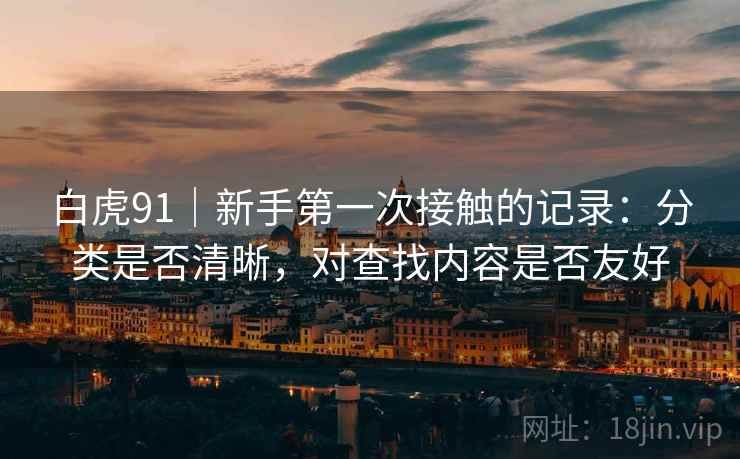 白虎91｜新手第一次接触的记录：分类是否清晰，对查找内容是否友好  第2张