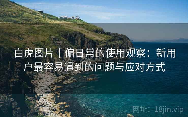白虎图片｜偏日常的使用观察：新用户最容易遇到的问题与应对方式  第2张