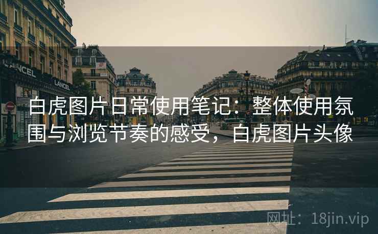白虎图片日常使用笔记:整体使用氛围与浏览节奏的感受,白虎图片头像 第1张 白虎图片日常使用笔记:整体使用氛围与浏览节奏的感受,白虎图片头像 第1张